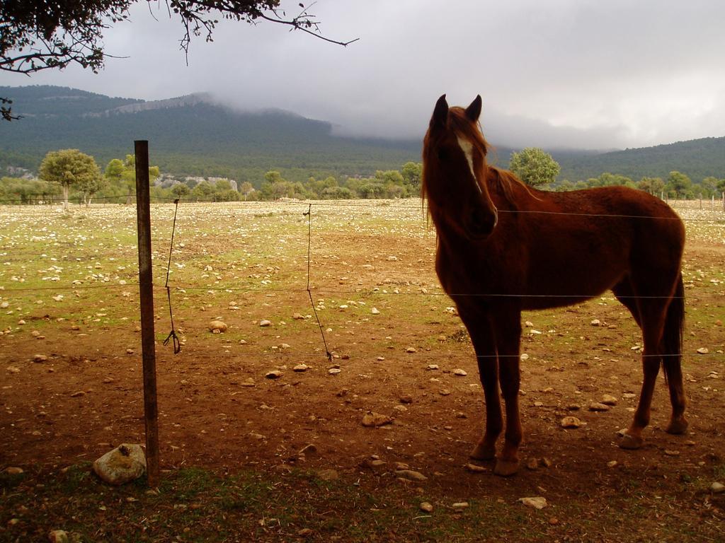 Alojamiento Rural Economato Pozo Alcón Εξωτερικό φωτογραφία